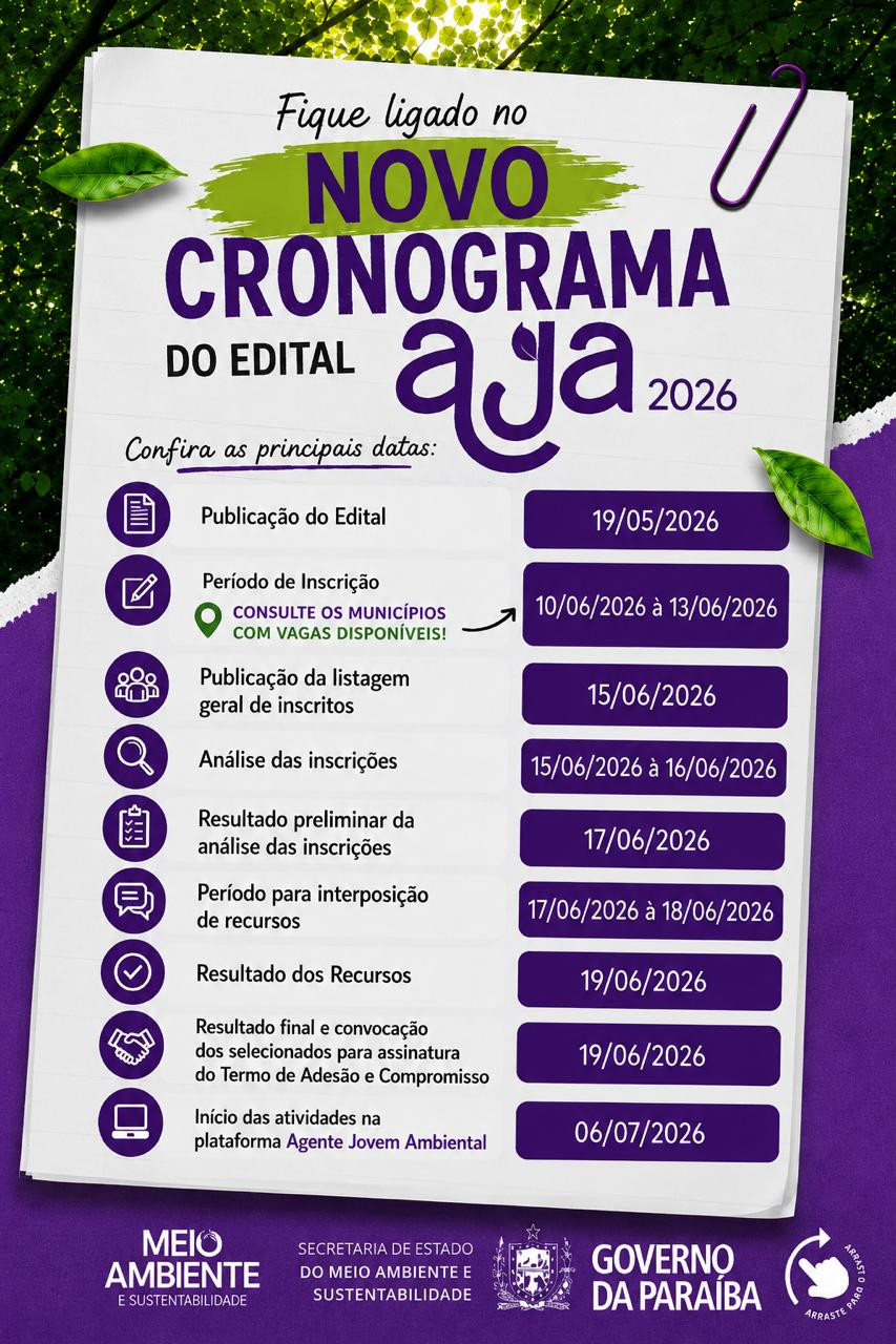 Novo cronograma